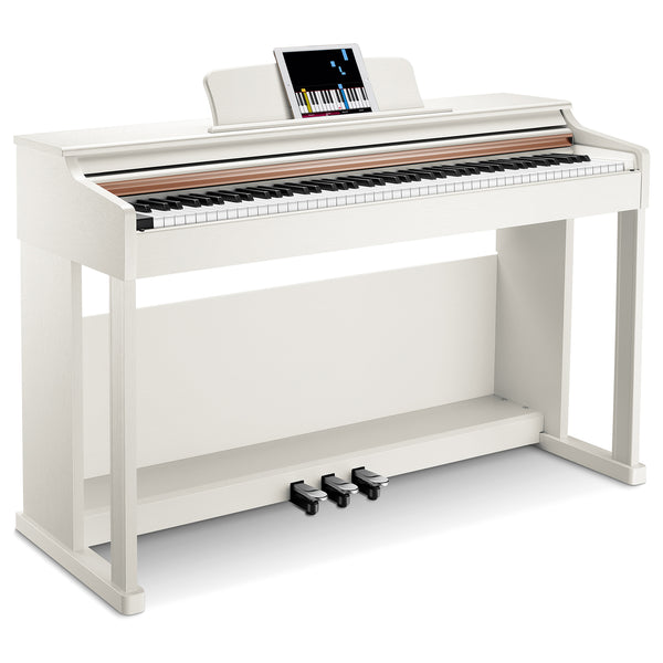 Donner DDP-100 Pianoforte digitale verticale con 88 tasti con azione a martello